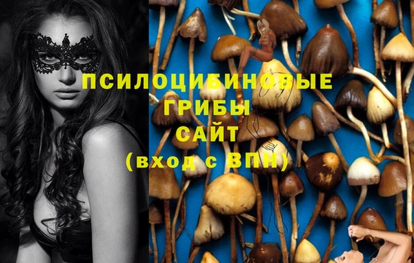 а пвп мука Богданович