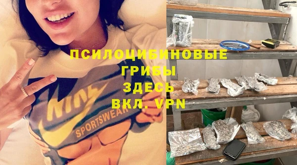 первитин Богородск