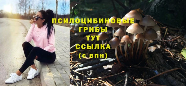 а пвп мука Богданович