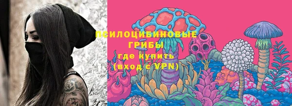 а пвп мука Богданович