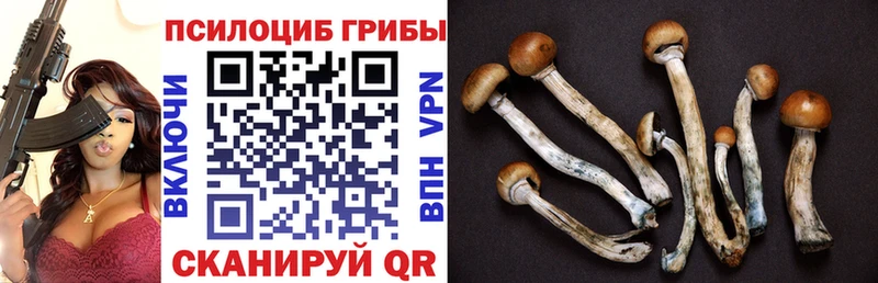 Галлюциногенные грибы мухоморы  Динская 